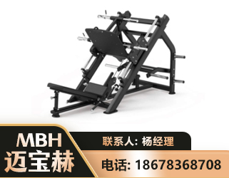 益阳45°倒蹬训练器