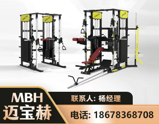益阳多功能综合训练器