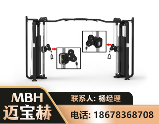 益阳大飞鸟训练器