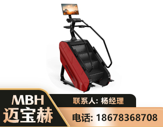 益阳商用楼梯机