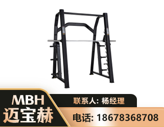 益阳史密斯机